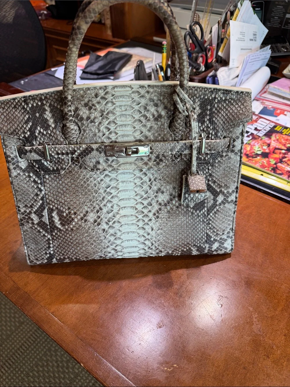 Structured Genuine Python Skin  Satchel in Gray and Cream